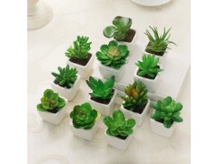 迷你仿真植物多肉植物盆栽小擺件圖2
