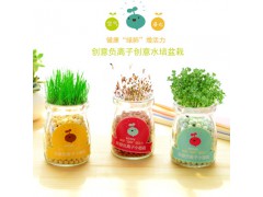 創(chuàng)意diy負離子水培盆栽 桌面微景觀植物 防輻射迷你小盆栽圖1