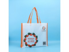無紡布袋手提彩印無紡布折疊袋印花產(chǎn)品環(huán)保無紡布袋圖1