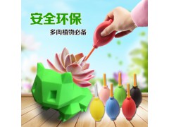環(huán)保多肉植物強(qiáng)力吹氣球圖1