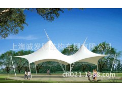 膜結(jié)構(gòu)園林亭子 公園設(shè)施 景觀工程圖1