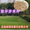 場地裝飾草坪 公園 廣場人造草坪