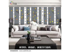 液體壁紙環(huán)保裝修建材魔術(shù)墻畫圖1