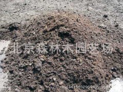 多屋頂綠化專用草炭土 量大從優(yōu) 有機(jī)質(zhì)達(dá)百分之50草炭土圖1