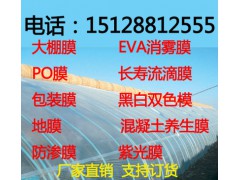 大棚膜塑料布po膜地膜混凝土養(yǎng)護(hù)膜工程膜圖1