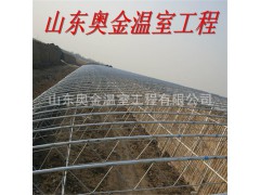 蔬菜溫室大棚 玻璃溫室圖1
