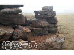 新興園林 上等假山石材 奇珍異石圖1