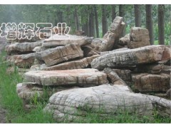 新型園林 假山石 奇珍異石圖1