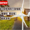 小型風(fēng)力發(fā)電機(jī)風(fēng)光互補(bǔ)工程發(fā)電系統(tǒng)路燈風(fēng)能發(fā)電 風(fēng)能