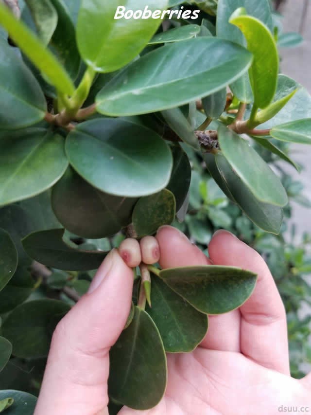 開心一刻