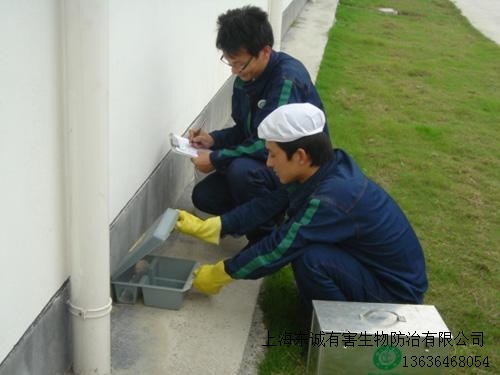 提供上海浦東滅鼠公司批發(fā)東誠供