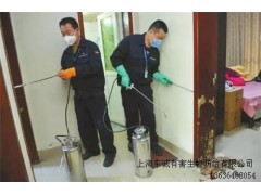 提供上海螞蟻怎么滅批發(fā)東誠供圖1