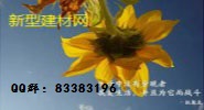 新型 建材 新型建材產(chǎn)品 新型建材批發(fā) 新型建材網(wǎng)