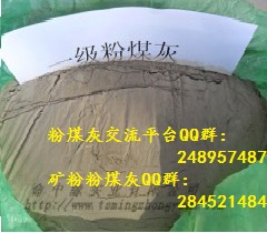 一級粉煤灰 一級粉煤灰標(biāo)準(zhǔn) 一級粉煤灰價格