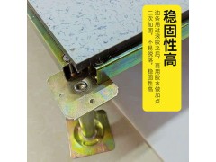 供應(yīng)陶瓷防靜電地板
