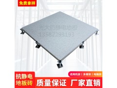供應(yīng)無邊全鋼防靜電地板