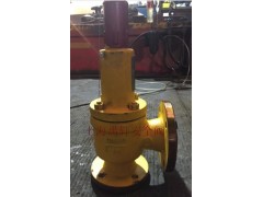 襯氟塑料安全閥A42F46化工，化學腐蝕性彈簧安全閥圖1