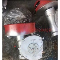 帶鏈條蝸輪箱QDX3-5,煤化工帶鏈輪蝶閥減速機(jī)