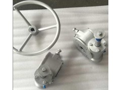 上海禹軒加工出口蝸輪蝸桿,QDX3機(jī)械閥門(mén)減速器供應(yīng)圖1
