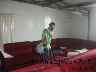 銷售上海滅跳蚤公司多少錢東誠供