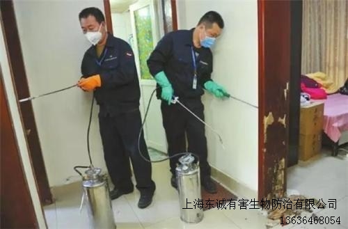 銷售上海滅螞蟻公司行情東誠供