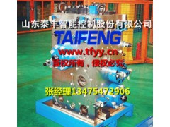 YN32-1250BXCV標(biāo)準(zhǔn)1250T主缸系統(tǒng)泰豐圖1