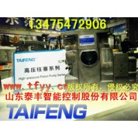 TFB1V63Y/1X-LRB2恒功率可替換YCY泵