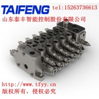 泰豐液壓廠家直銷(xiāo)TRM20-BX-04-NJHY多路換向閥閥
