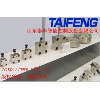 泰豐液壓廠家現(xiàn)貨直銷(xiāo)TLFA25WEA型號(hào)控制蓋板