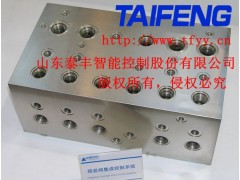 YN32-100GSCV二通插裝閥泰豐液壓廠家現(xiàn)貨直銷圖1