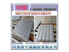 泉州篙端全瓷盲道磚 鑄造建筑行業(yè)新引擎L圖1