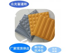 海南盲道磚 海南眾光全瓷盲道磚1圖1