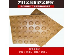 地鐵盲道建選300*300*20灰色全瓷盲道磚圖1