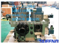 供應(yīng)泰豐YN32-100FBCV二通插裝閥