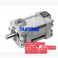 TFB1V63Y1X-LRB2柱塞泵價(jià)格泰豐智能