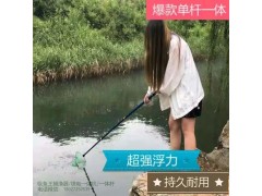 新款電捕漁一體桿,一體電打捕漁桿,一桿清圖1