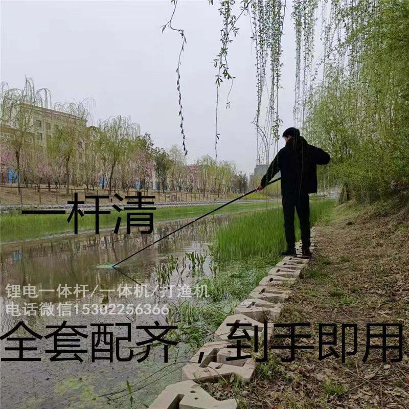 z一體桿a (29)