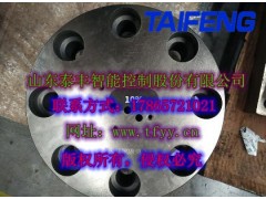 泰豐智能廠家供應(yīng)TLFA080DBWT-7X圖1