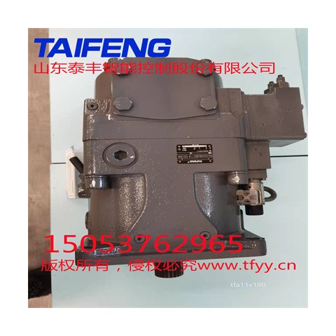 山東泰豐智能供應(yīng)柱塞泵（可串聯(lián)使用）TFB1V63LR/1X-LRB2圖1