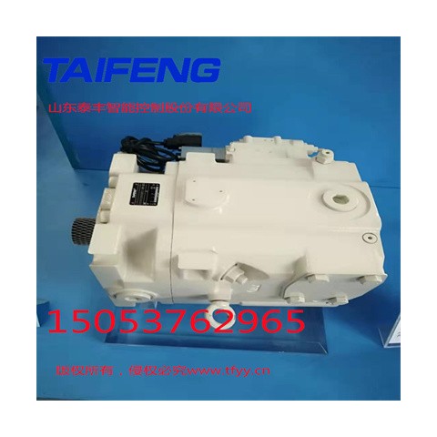 山東泰豐智能供應(yīng)柱塞泵TFB1V63YS/1X-LRB2圖1