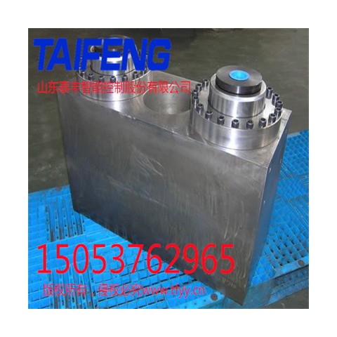 泰豐智能加工定制液壓油缸WC67Y-100RHG-00圖1
