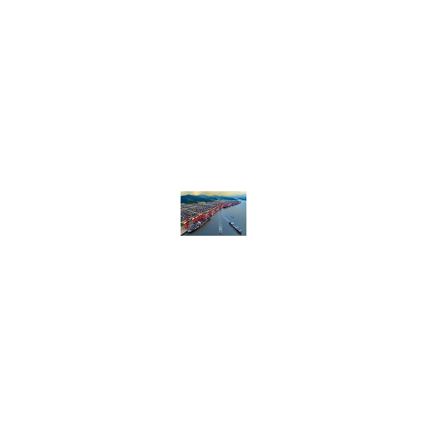 天津進口代理報關公司圖2
