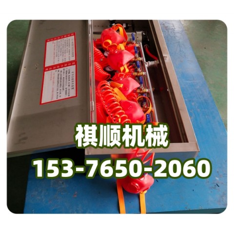 ZYJ-M6壓風(fēng)自救裝置硅膠面罩避難硐室用圖1
